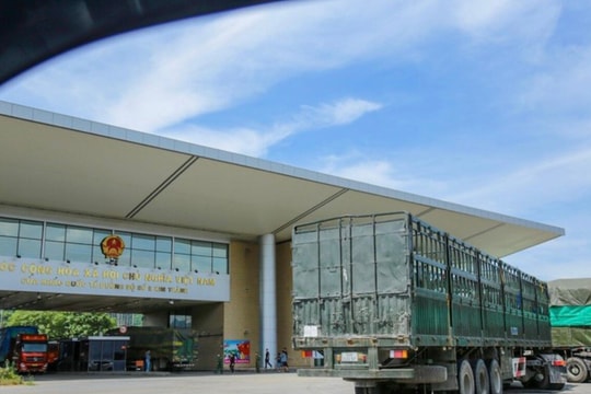 Hai doanh nghiệp bị cưỡng chế hơn 100 tỷ đồng nợ thuế