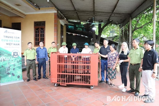 Bàn giao cá thể gấu nuôi nhốt cuối cùng ở Hải Dương