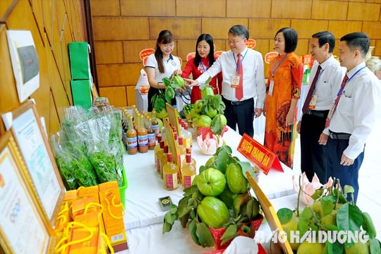 14 gian hàng trưng bày sản phẩm tại Đại hội đại biểu Hội Nông dân tỉnh Hải Dương lần thứ X