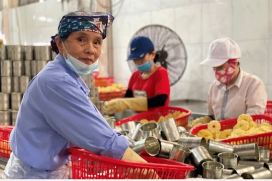 Thách thức giải quyết việc làm cho người già đô thị