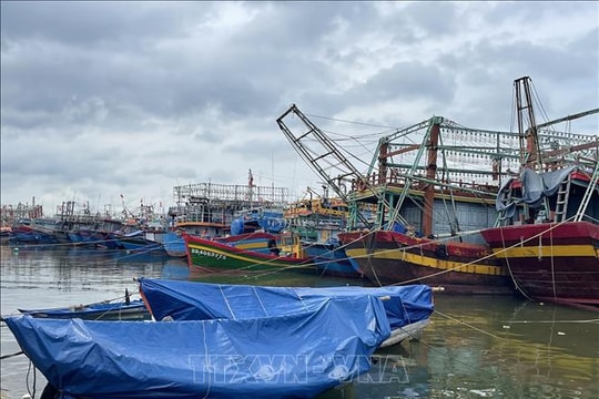 Ứng phó áp thấp nhiệt đới, Quảng Trị cấm biển từ 17 giờ ngày 17/10