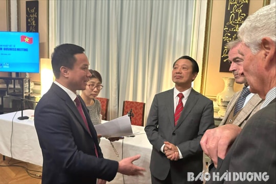 Hai Duong boosts investment, trade in Belgium