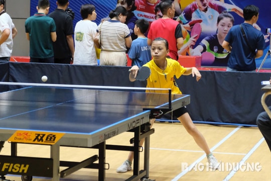 Hải Dương lần đầu tiên tổ chức giải bóng bàn học sinh tiểu học, THCS, THPT cấp tỉnh