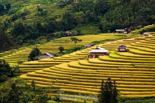 Những tọa độ check-in ruộng bậc thang đẹp nhất Hà Giang