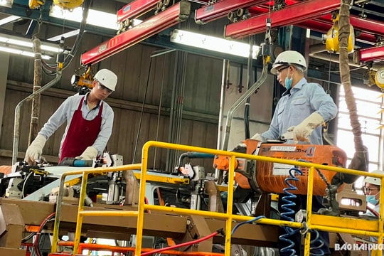 Hai Duong-based FDI businesses’ revenue up 20.8%