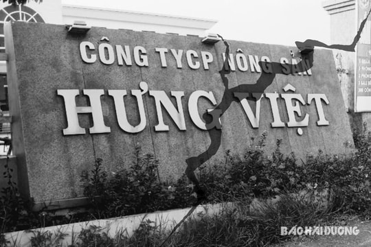 Công ty CP Nông sản Hưng Việt – Tan vỡ từ mâu thuẫn nội bộ. Bài 3: Chìm trong "bóng tối"