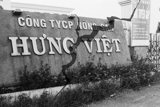 Công ty CP Nông sản Hưng Việt – Tan vỡ từ mâu thuẫn nội bộ. Bài 4: Tương lai nào cho Hưng Việt?