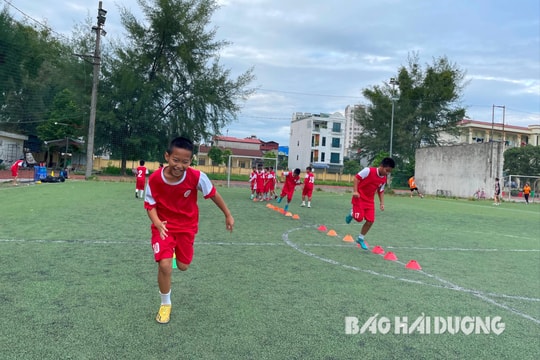 Kỳ vọng "làn gió mới" ở các đội tuyển U11, U13 Hải Dương