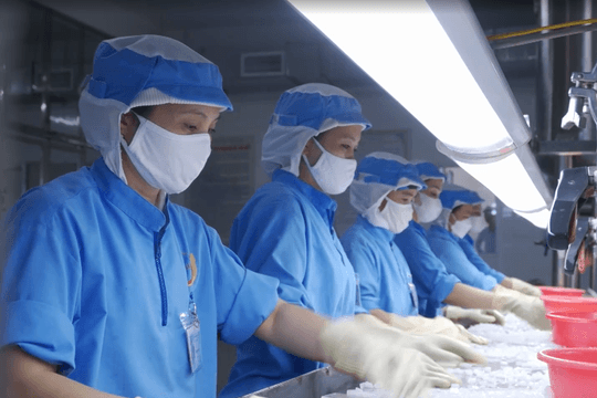 Chia sẻ rủi ro với người lao động Hải Dương
