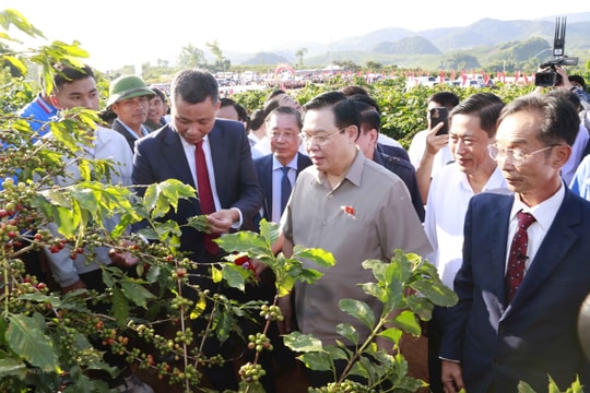 Chủ tịch Quốc hội Vương Đình Huệ thăm vùng trồng cà phê ở Sơn La