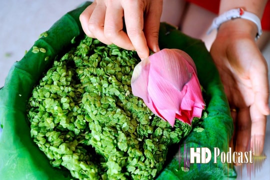 Hương cốm mùa thu