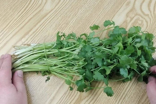 5 cách bảo quản rau mùi