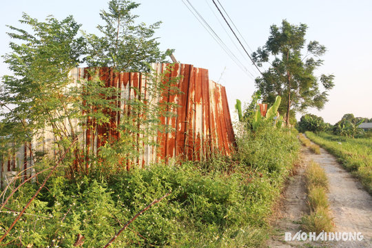 Ngăn ngừa vi phạm mới