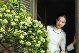 Chạm vào miền nhớ