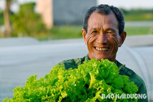 Pham Kha farmers enjoy high profits from vegetables