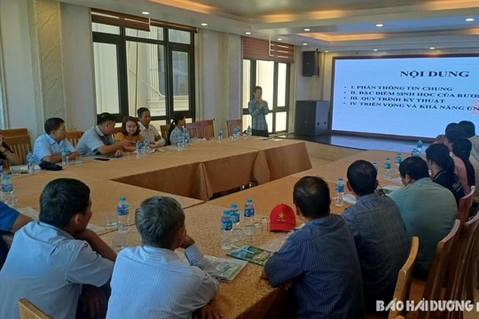 Hướng dẫn nông dân Vĩnh Lập hoàn thiện kỹ thuật nuôi rươi kết hợp sản xuất lúa hữu cơ