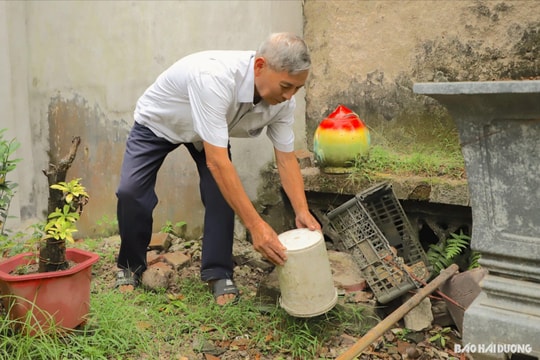 Ngày 24/10, Hải Dương xuất hiện 4 ổ dịch sốt xuất huyết mới