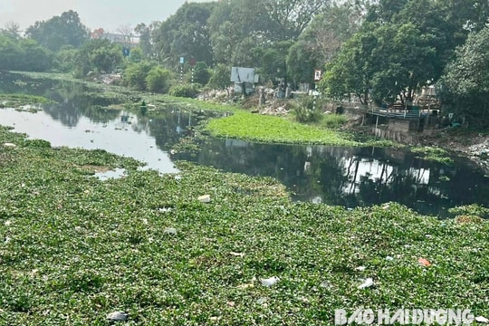 Hải Dương xử lý 88 tổ chức, cá nhân vi phạm môi trường trên hệ thống sông Bắc Hưng Hải 