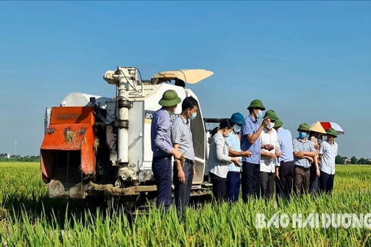 Cấy máy mạ khay cho năng suất cao