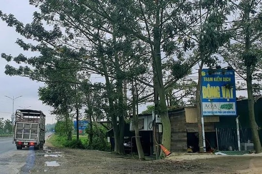 Khởi tố, bắt tạm giam 2 nhân viên Trạm kiểm dịch động vật