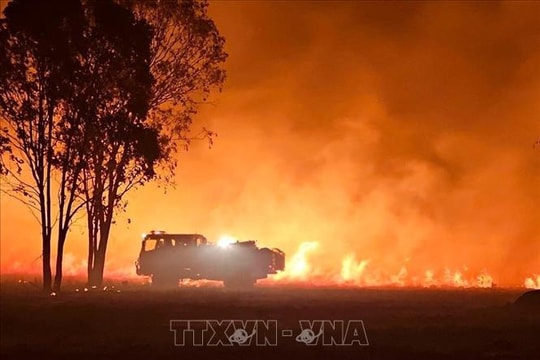 Cháy rừng hoành hành ở miền Đông Australia