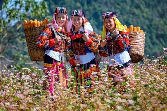 Đêm trắng Bắc Hà