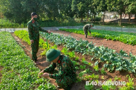 Ban Chỉ huy quân sự huyện Thanh Miện thu lãi gần 70 triệu đồng từ tăng gia sản xuất
