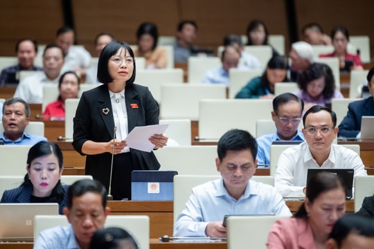 Đại biểu Hải Dương Nguyễn Thị Việt Nga: Xoá bỏ tình trạng nơi thừa, nơi thiếu nhà ở xã hội