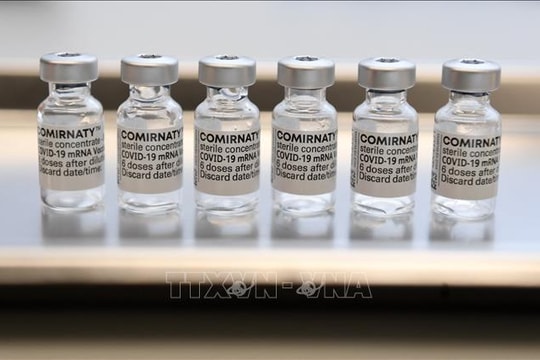 Pfizer và BioNTech công bố kết quả thử nghiệm vaccine kết hợp ngừa Covid-19 và cúm