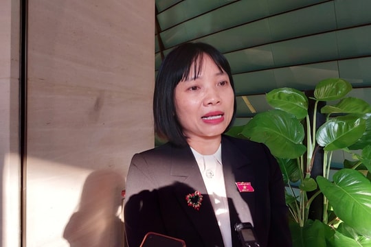 “Bộ Giáo dục và Đào tạo nên biên soạn một bộ sách giáo khoa, nhưng không phải bây giờ"