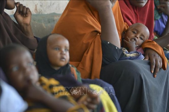 Khoảng 4 triệu người Somalia đối mặt với khủng hoảng lương thực do El Nino