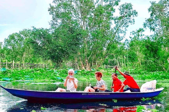 Foreign tourists flock to Mekong cajuput forest during flood season