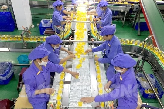 Hai Duong-based Long Hai Co Ltd among top 10 prestigious food firms in 2023 