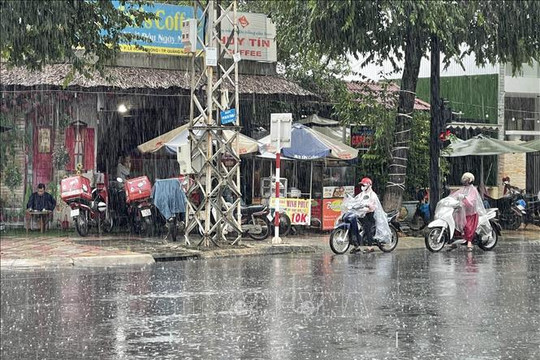 Khu vực từ nam Nghệ An đến Quảng Ngãi có nơi mưa trên 200mm
