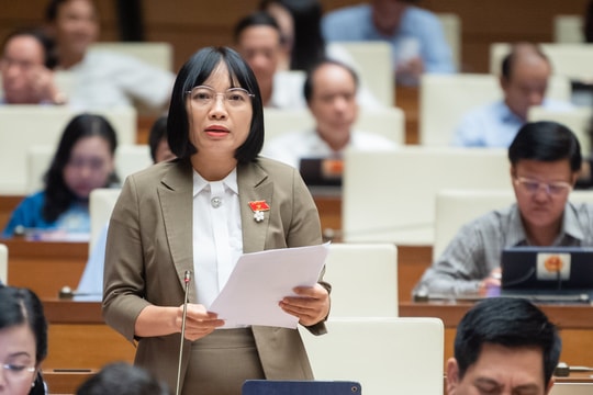 Đại biểu Quốc hội tỉnh Hải Dương: Điểm chung của 3 chương trình mục tiêu quốc gia là chậm