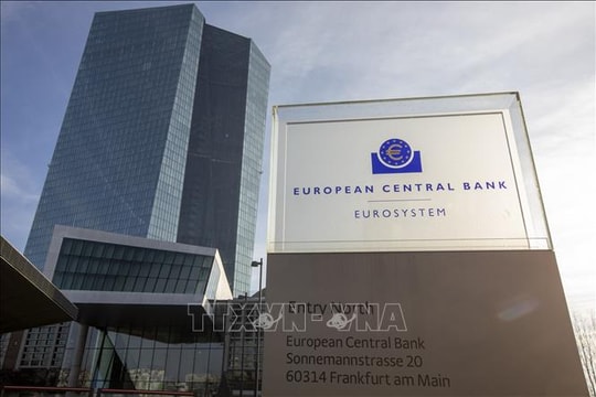 ECB không nên trì hoãn hạ lãi suất