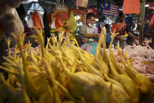 Malaysia ngừng trợ cấp giá thịt gà, cảnh báo tình trạng mua tích trữ