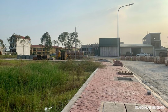 Vì sao đấu giá đất ế khách?