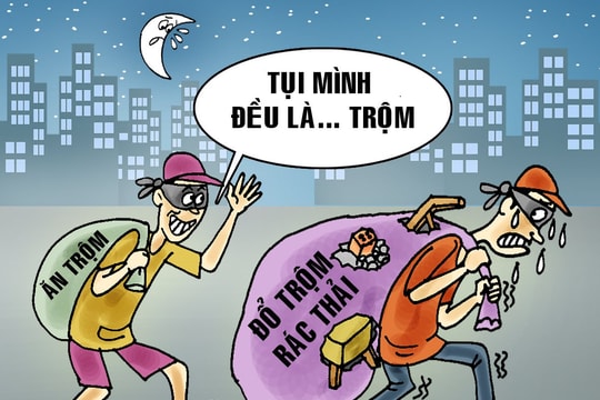 Đều là... trộm cả 
