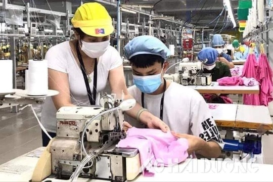 Công ty May Tinh Lợi thưởng từ 5-8,5 triệu đồng cho công nhân mới
