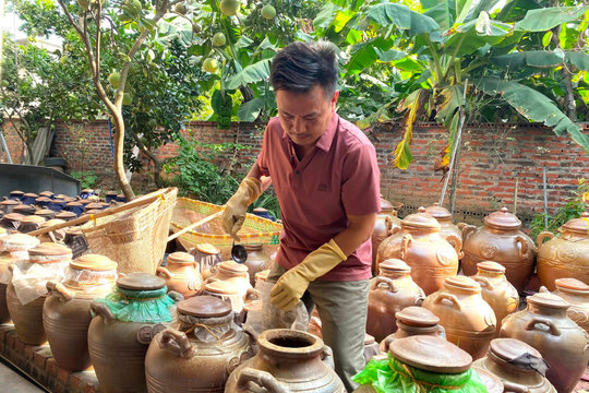 Anh Dư nặng lòng với mắm cáy