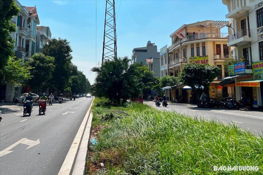 TP Hải Dương hoàn thiện hạ tầng đường Nguyễn Lương Bằng và Thanh Bình