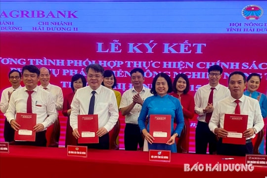 Phối hợp chặt chẽ thực hiện chính sách tín dụng phát triển nông nghiệp, nông thôn