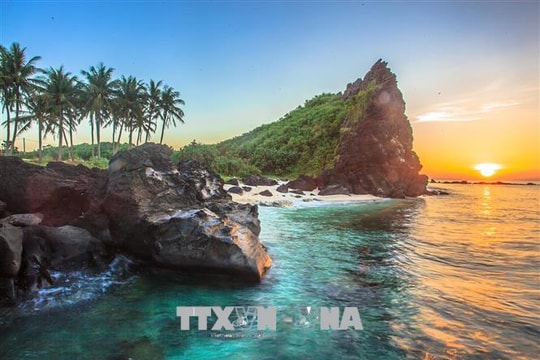 Xây dựng hồ sơ đề nghị công nhận Di tích văn hóa khảo cổ Sa Huỳnh là Di sản thế giới