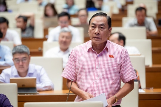 Đại biểu Quốc hội thảo luận hai phương án quyền sử dụng đất của người Việt ở nước ngoài