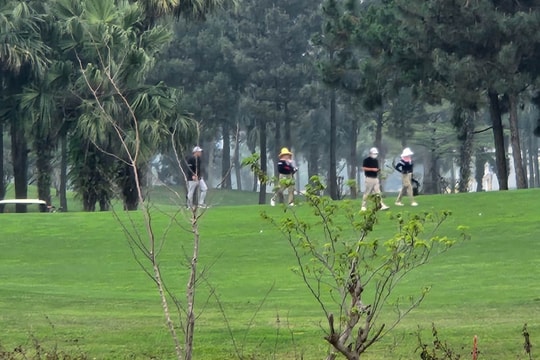 Truy tố Phó chủ tịch Hiệp hội Golf Việt Nam tội đánh bạc