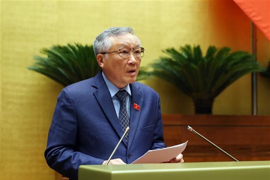 Chánh án Nguyễn Hòa Bình: Chưa phát hiện trường hợp kết án oan người vô tội hoặc bỏ lọt tội phạm