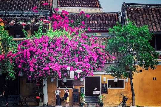 Hoa giấy phố Hội