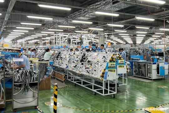 Doanh nghiệp xuất nhập khẩu Hải Dương ứng phó trước biến động tỷ giá ngoại tệ