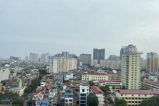 Hà Nội đấu giá một số thửa đất có giá hàng trăm triệu đồng mỗi m2